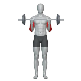 تجميع البايسبس بالبار