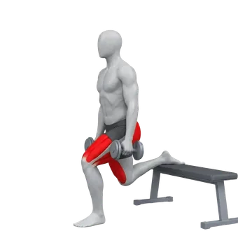 Bulgarian Split Squat
