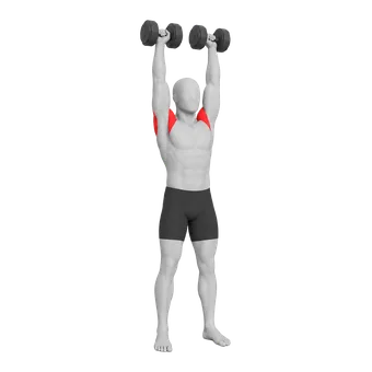 Dumbbell Shoulder Press