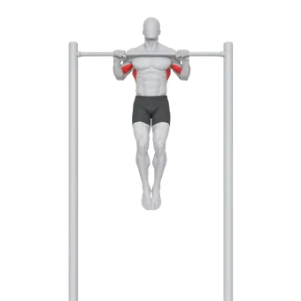 Pull-Up